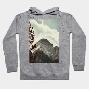 Fall Mountain View Landscape Hoodie